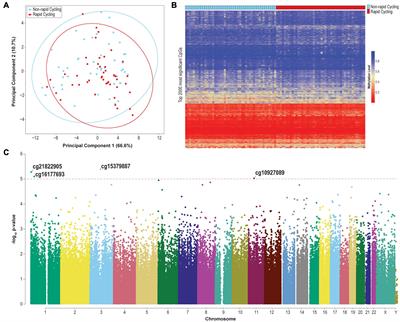 Plasma Cell-Free DNA Methylomics of Bipolar Disorder With and Without Rapid Cycling